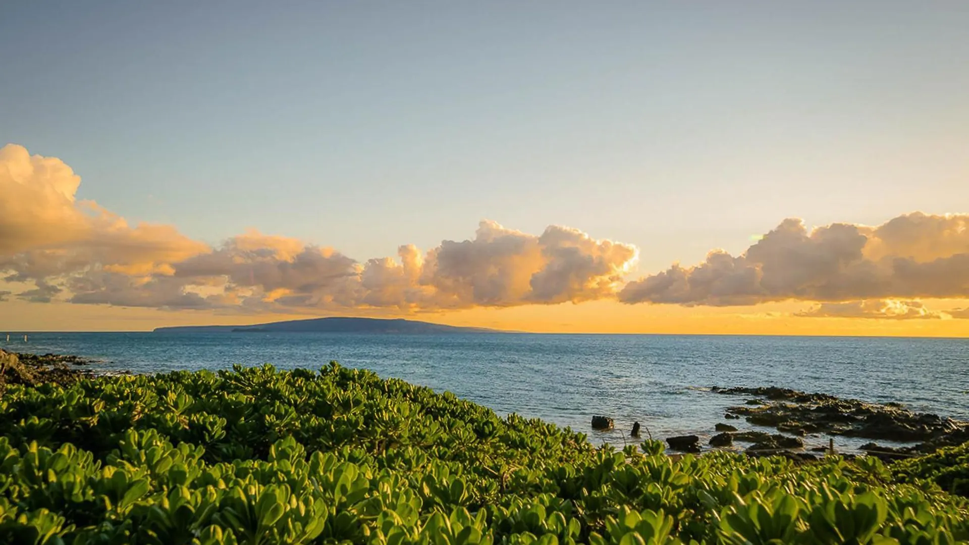 1112Islandsurf510Cisnco - Island Surf 510C Apartment Kihei