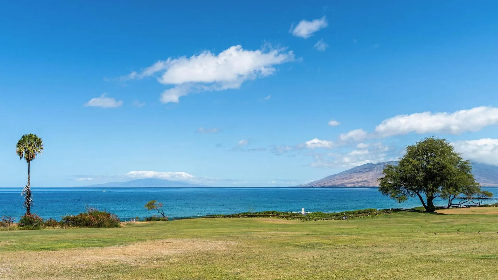 1112Islandsurf510Cisnco - Island Surf 510C Apartment Kihei United States